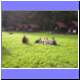 Foto 01