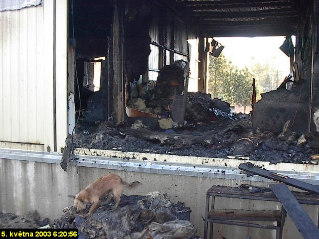 Foto 07