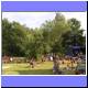 8.7.2006 - Hu�en� do Hamersk� vrby