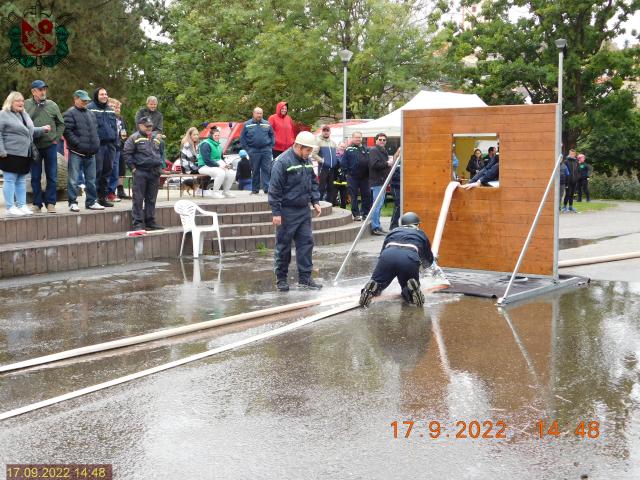 Foto 11
